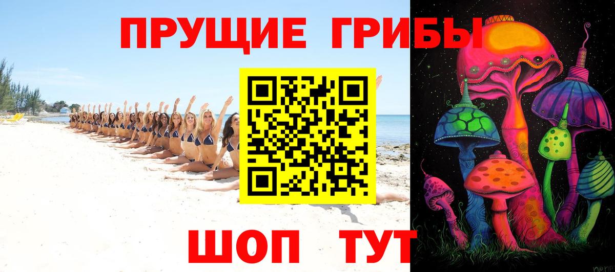 Галлюциногенные грибы ЛСД Кропоткин